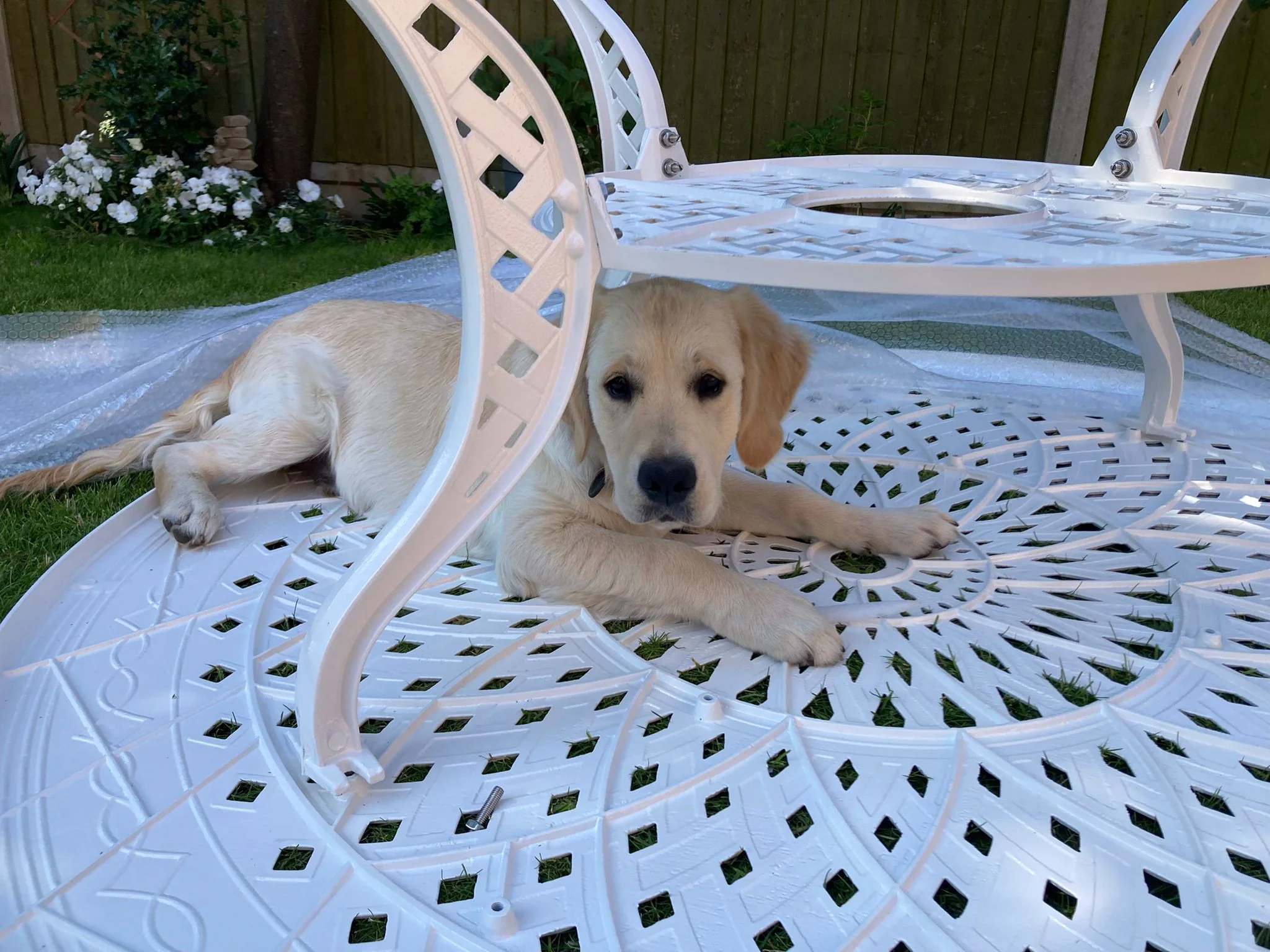 Amelia Table 8 Seater Set - White - Image 4