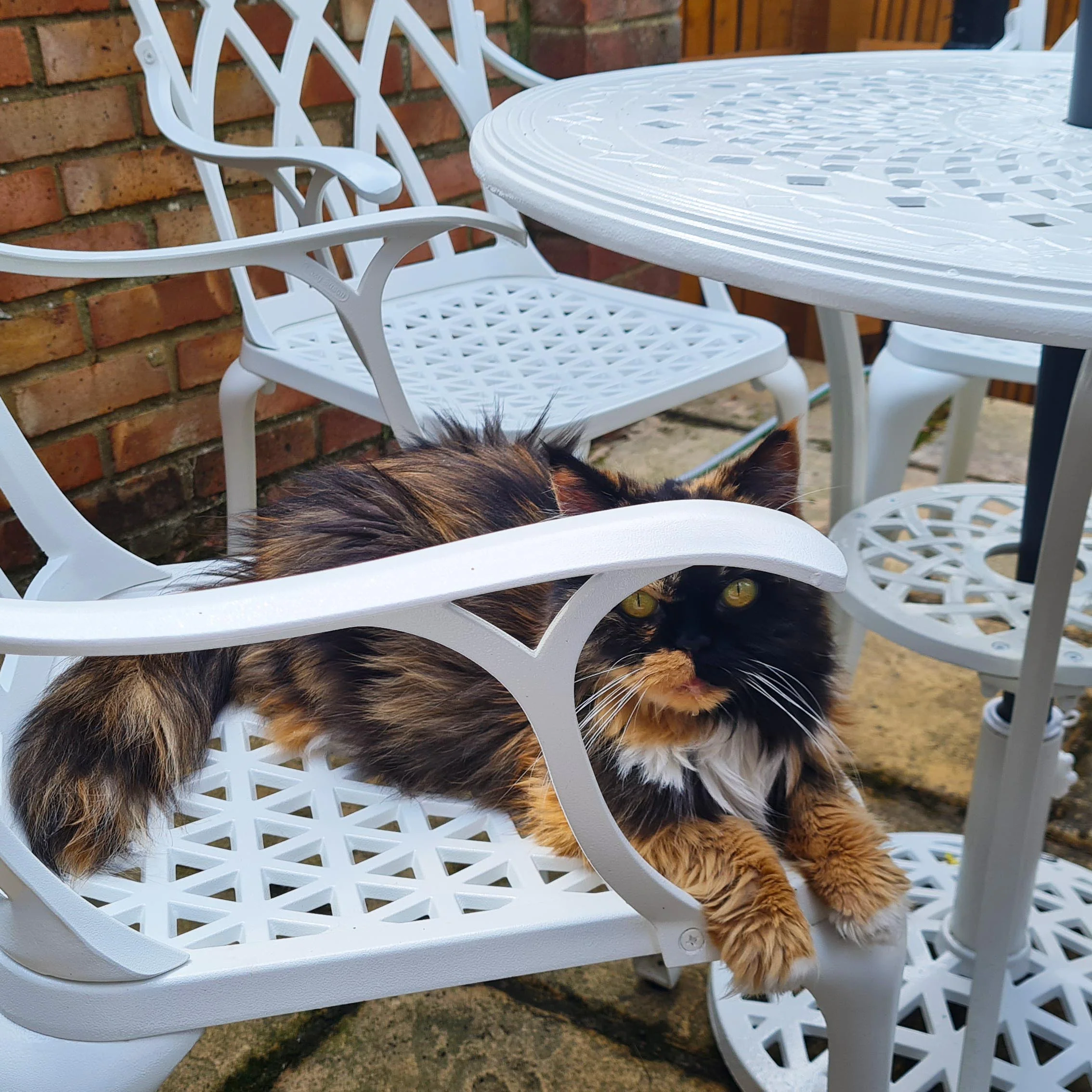 Anna Table 2 Seater Set - White - Image 8