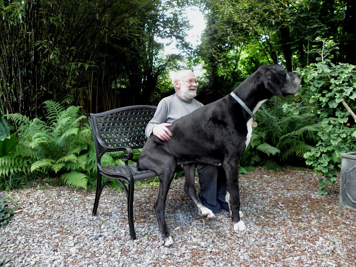 July Bench Set - Antique Bronze - Image 6