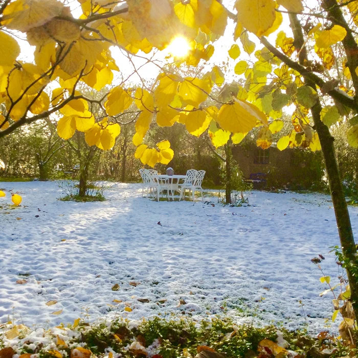 Lisa Table 4 Seater Set - White - Image 11