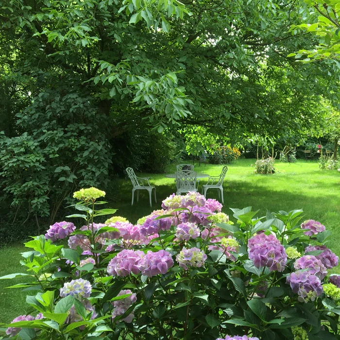 Lisa Table 4 Seater Set - White - Image 12