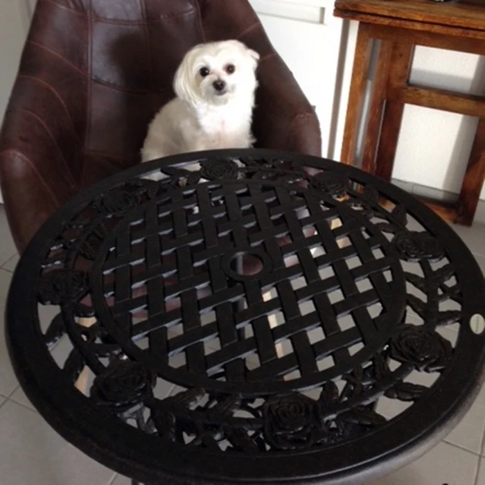 Rose Bistro Table - Antique Bronze - Image 5