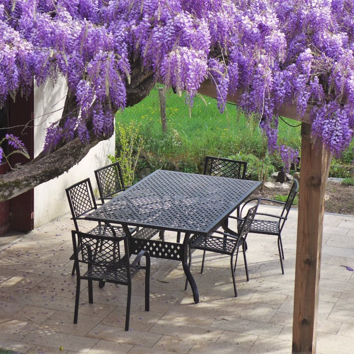 Sophia Table 14 Seater Set - Antique Bronze - Image 5